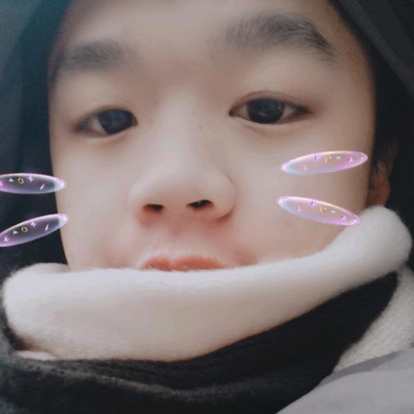 小董不乖