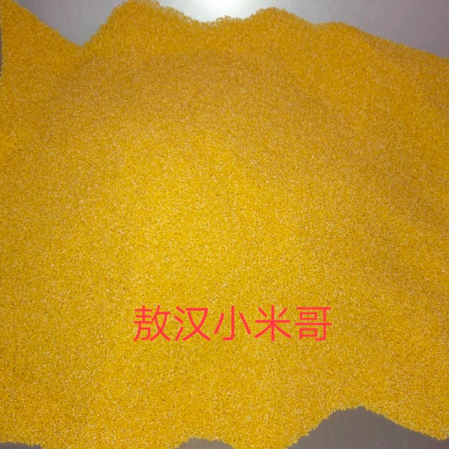 敖汉小米哥