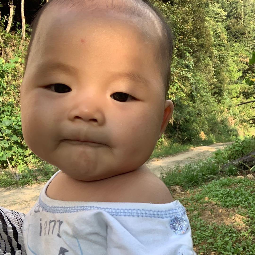 小小鱼