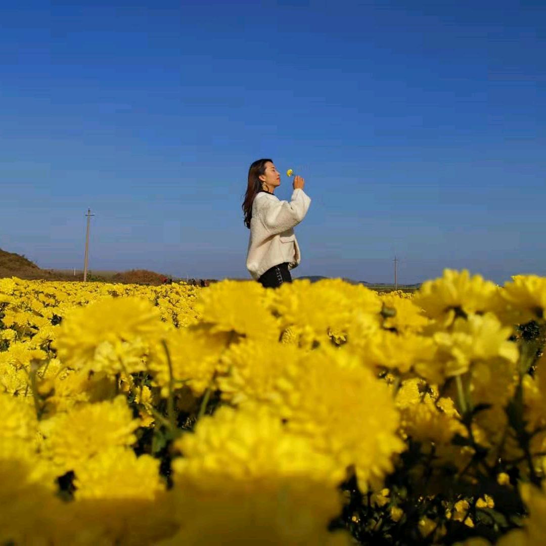 信阳毛尖品茗香茶艺店