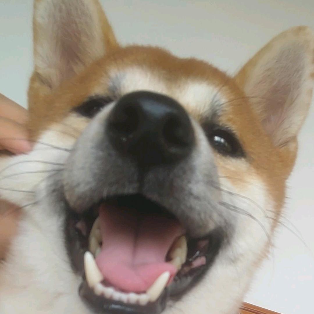 李镬海