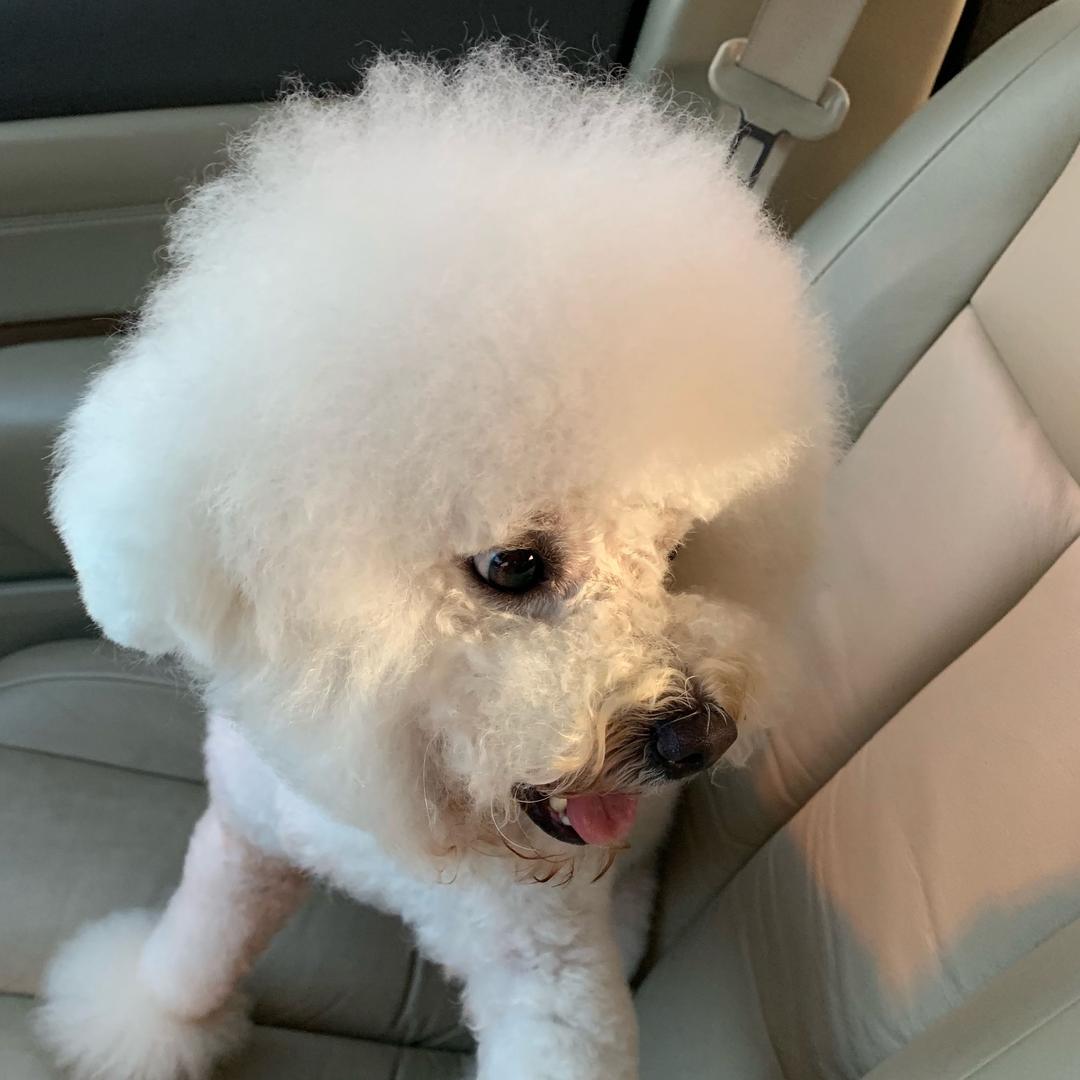 🌈来日可期h、