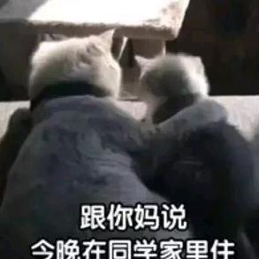 长街听风