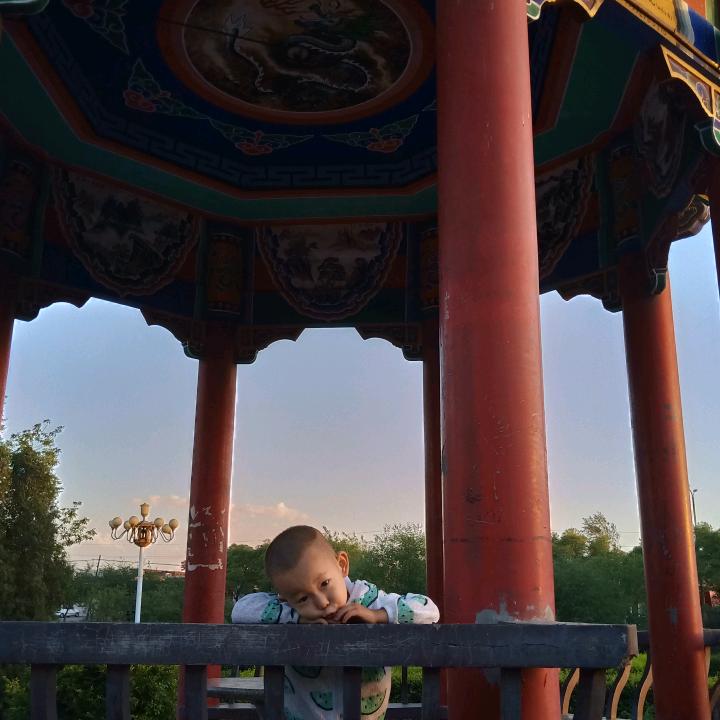 破茧成蝶  (34年)