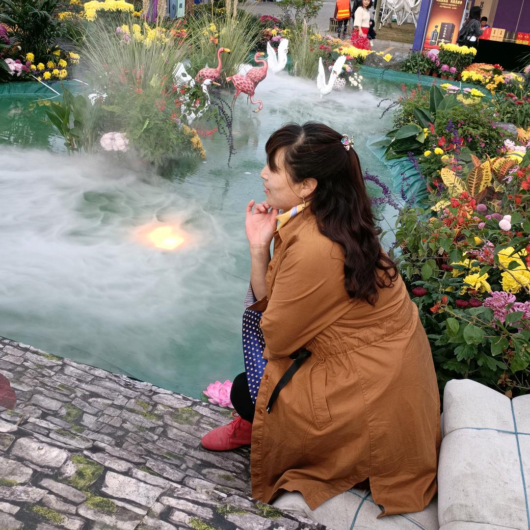 夏雨荷