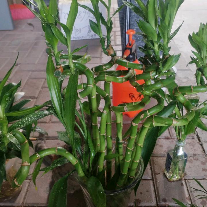 用户，笑看人生