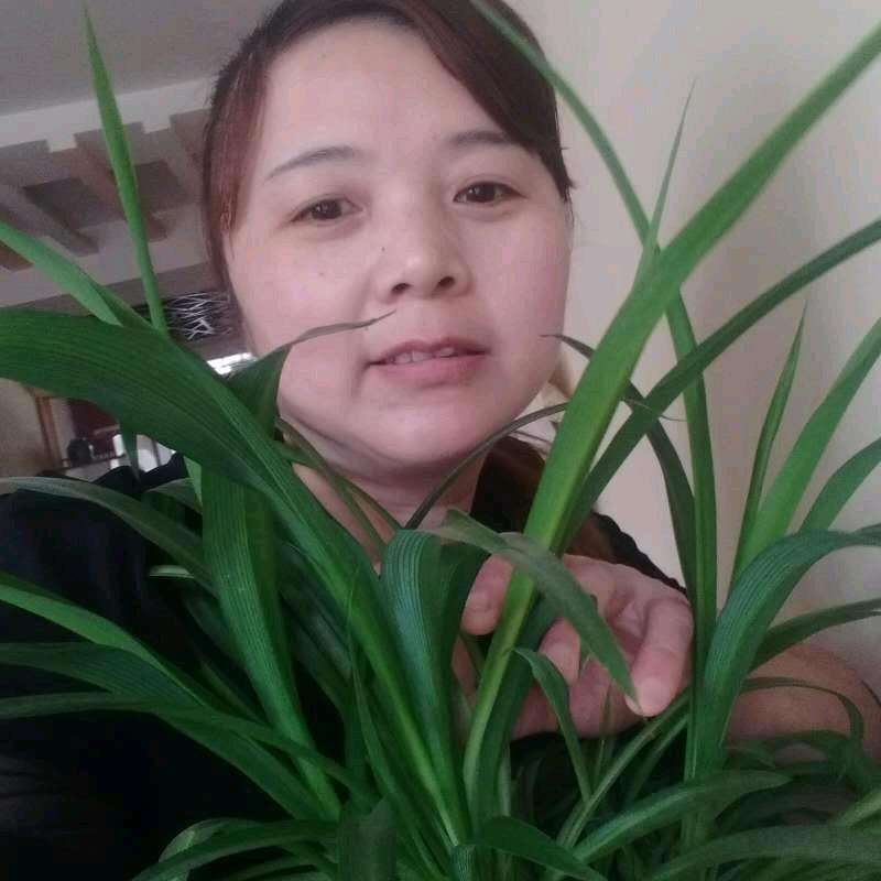 似水柔情
