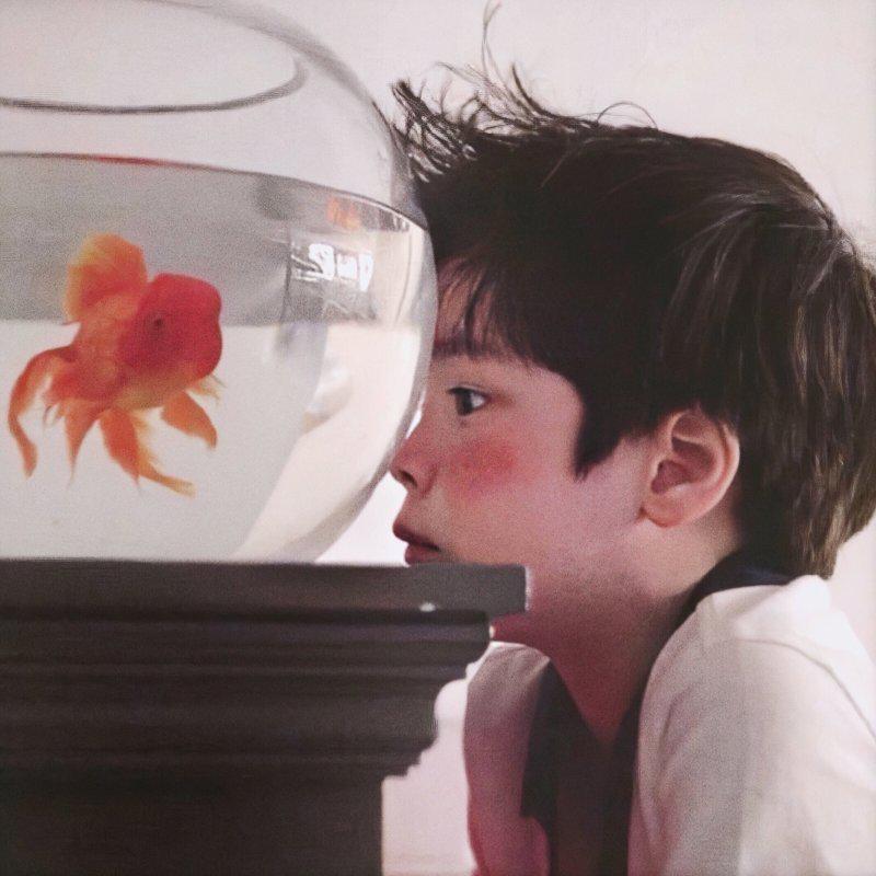 白小白