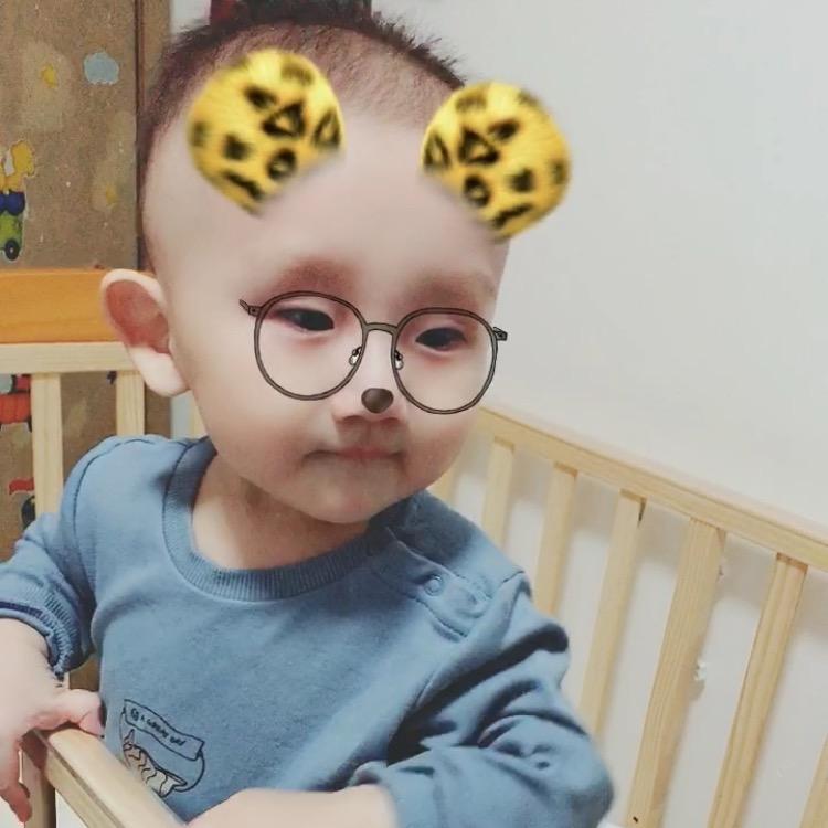 韬宝@