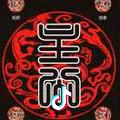 龙主至尊