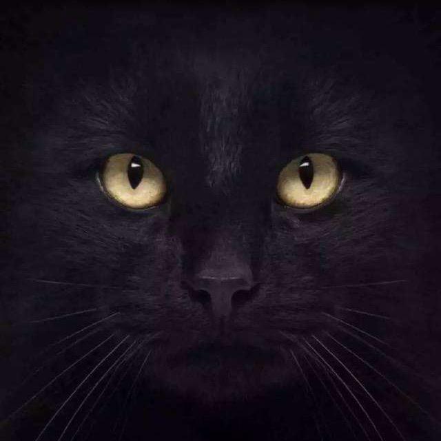 Darker