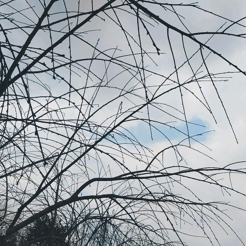 春末