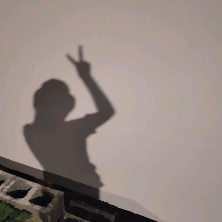 voiceTSe