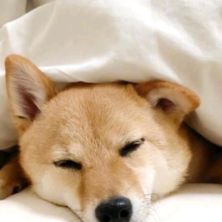吃吃吃