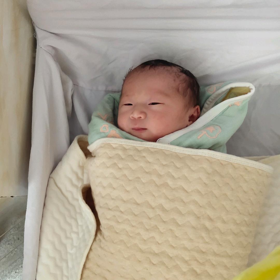 黑玫瑰