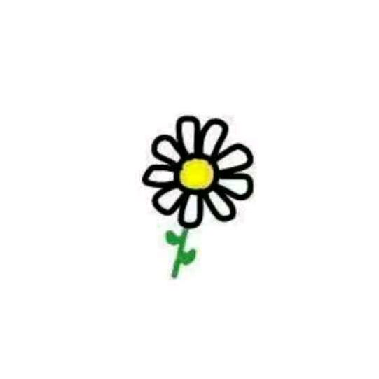 花花自由生长🌻
