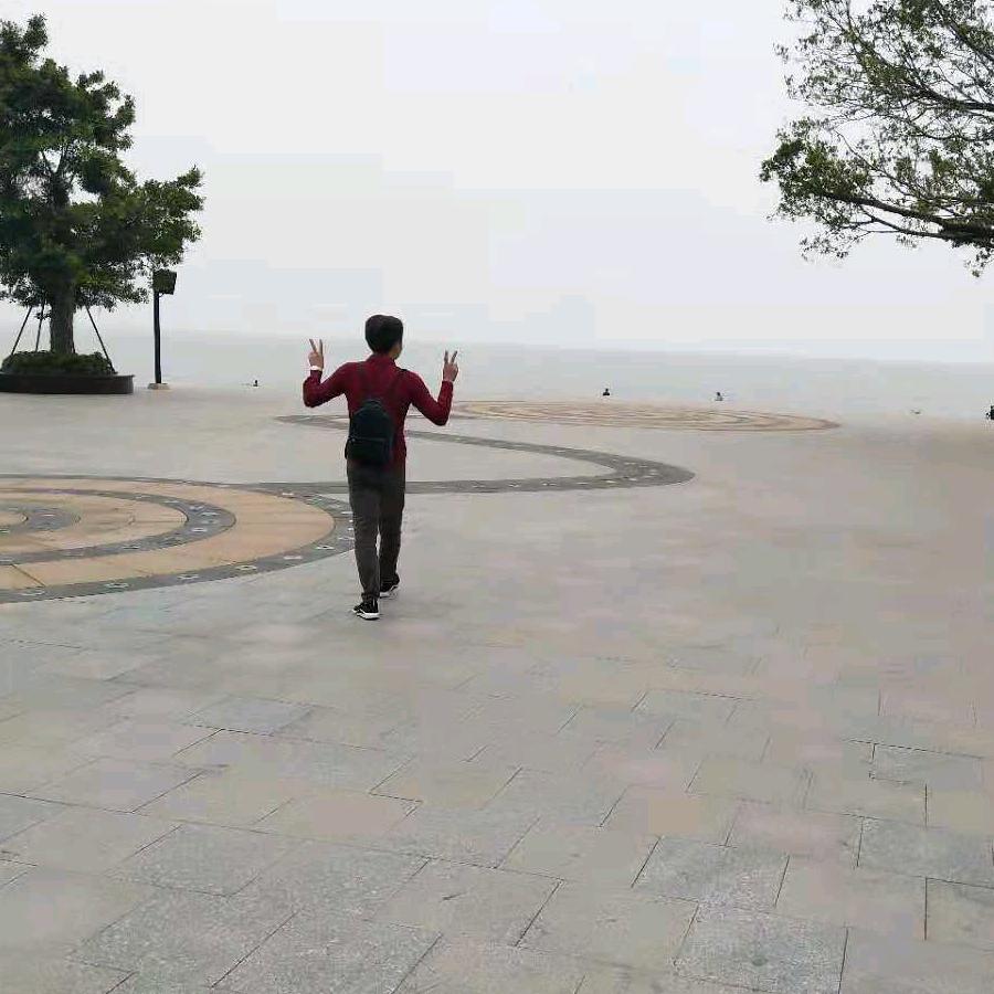 一颗不变的心心