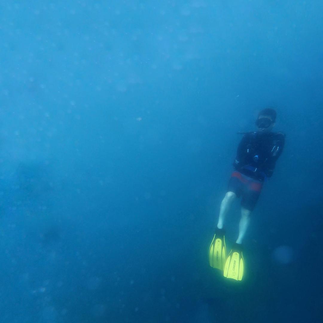 铁铁铁铁铁铁铁铁铁