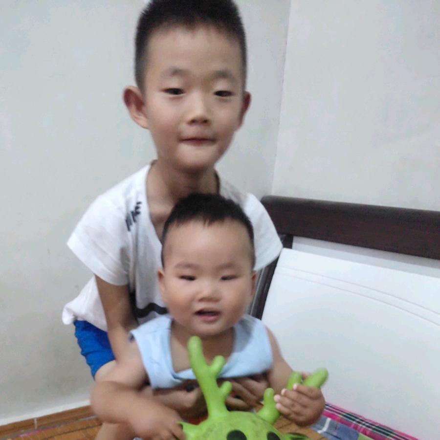 谈情不如遛狗