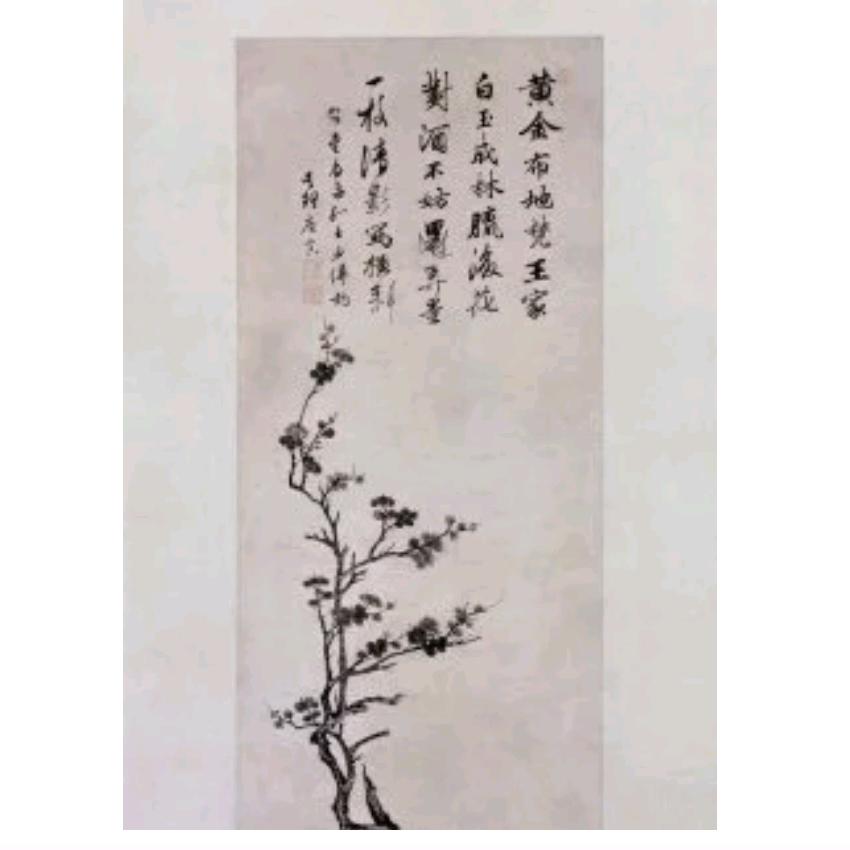 岚婷聪