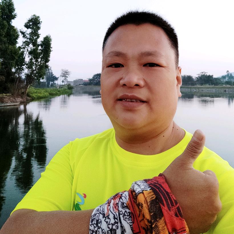 笨牛一头