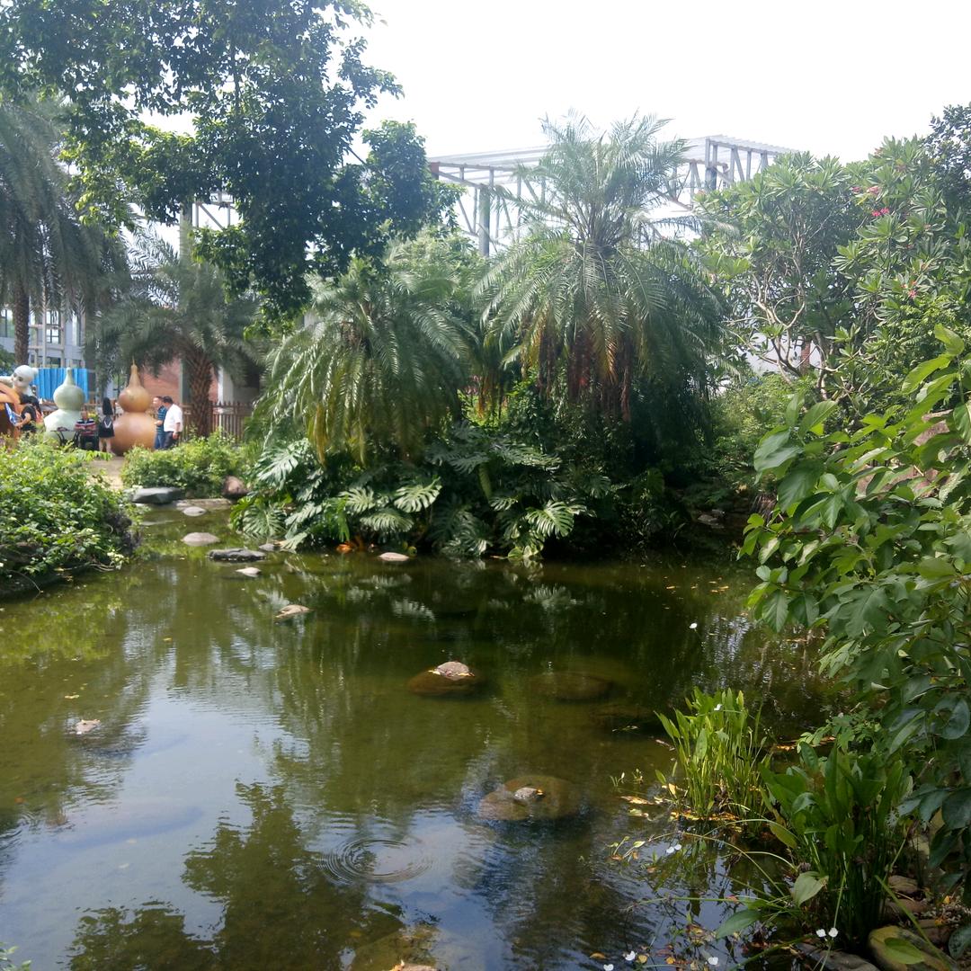 安静的复苏