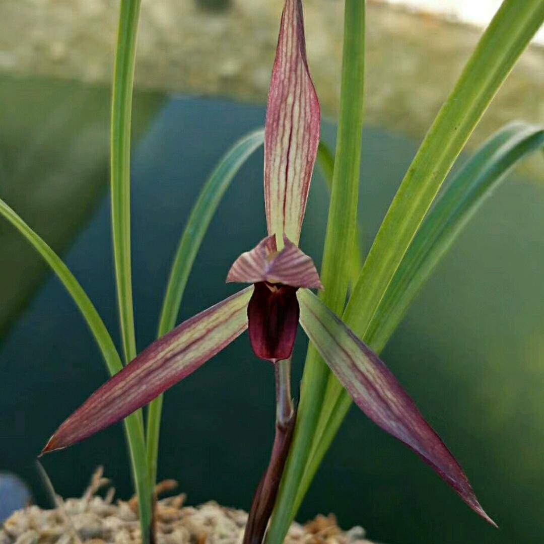 用户3593798518864张国建