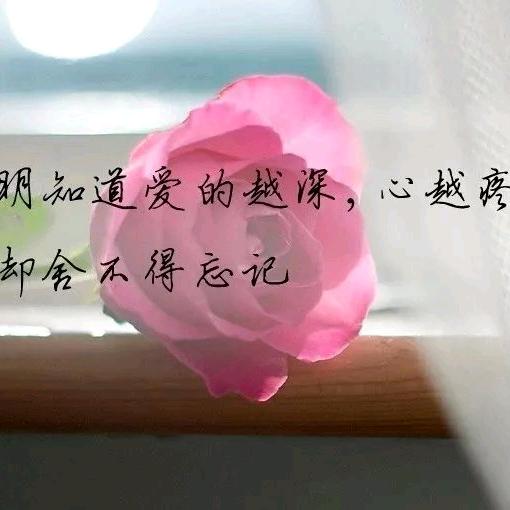 心有灵犀💫