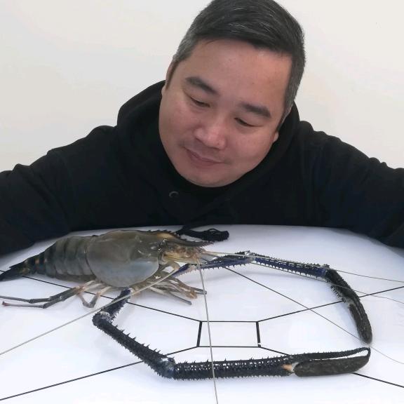 觅大叔