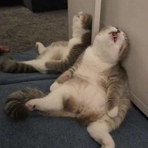 此景应浮两大白