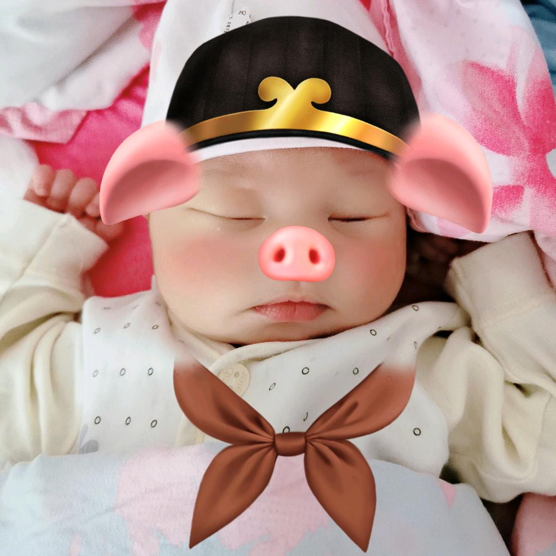 彩绘小点