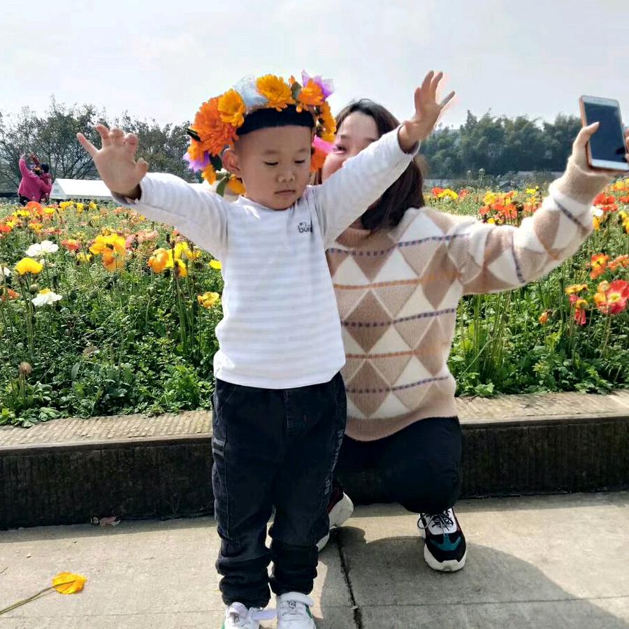 琴芬