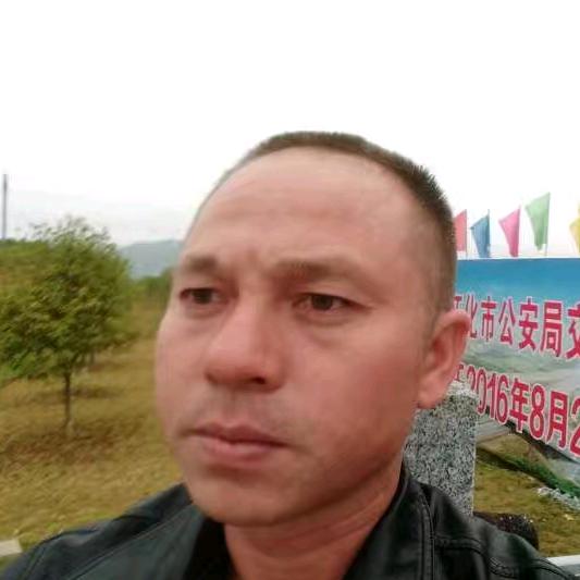 杨教练