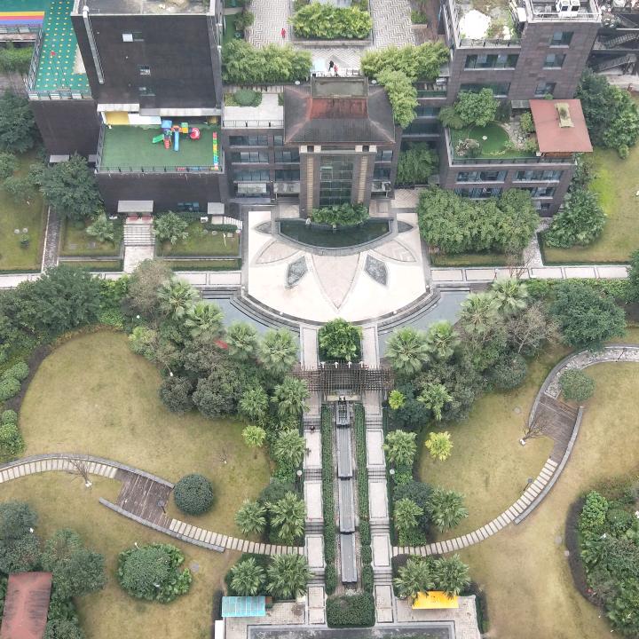 幸福树