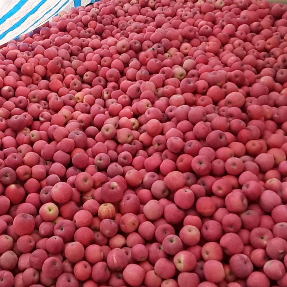 有有有