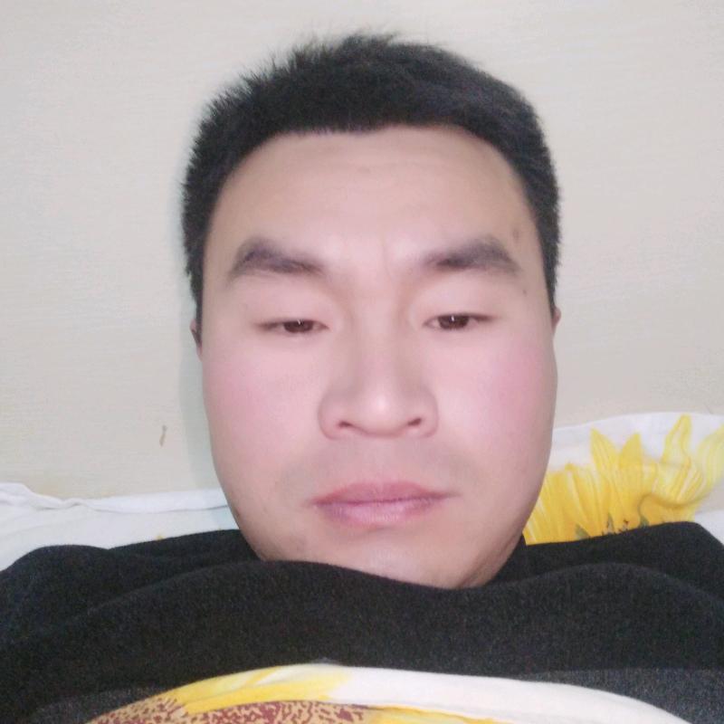 飞哥