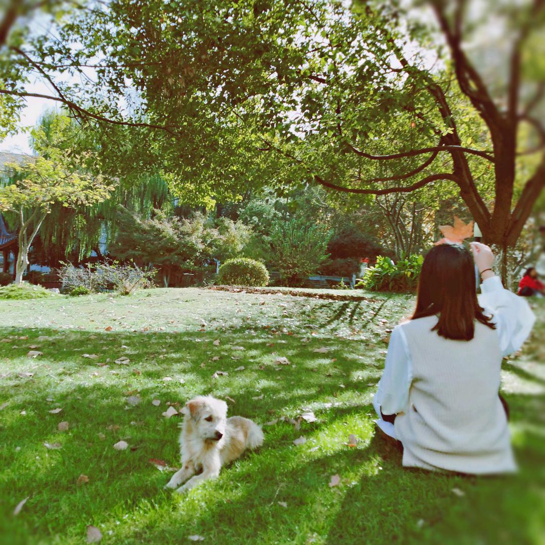 暴富暴富暴富中