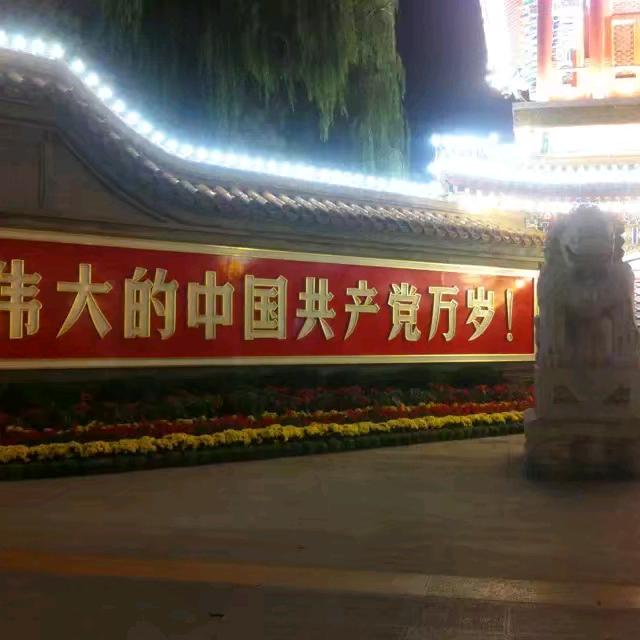 娄高