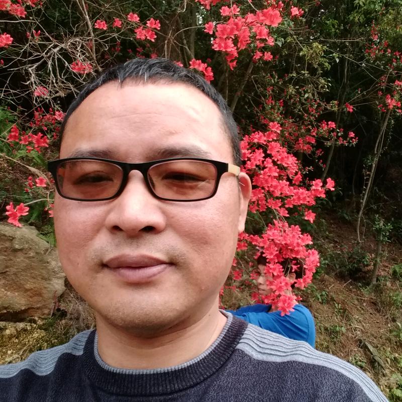 沈酒书森(伍哥)