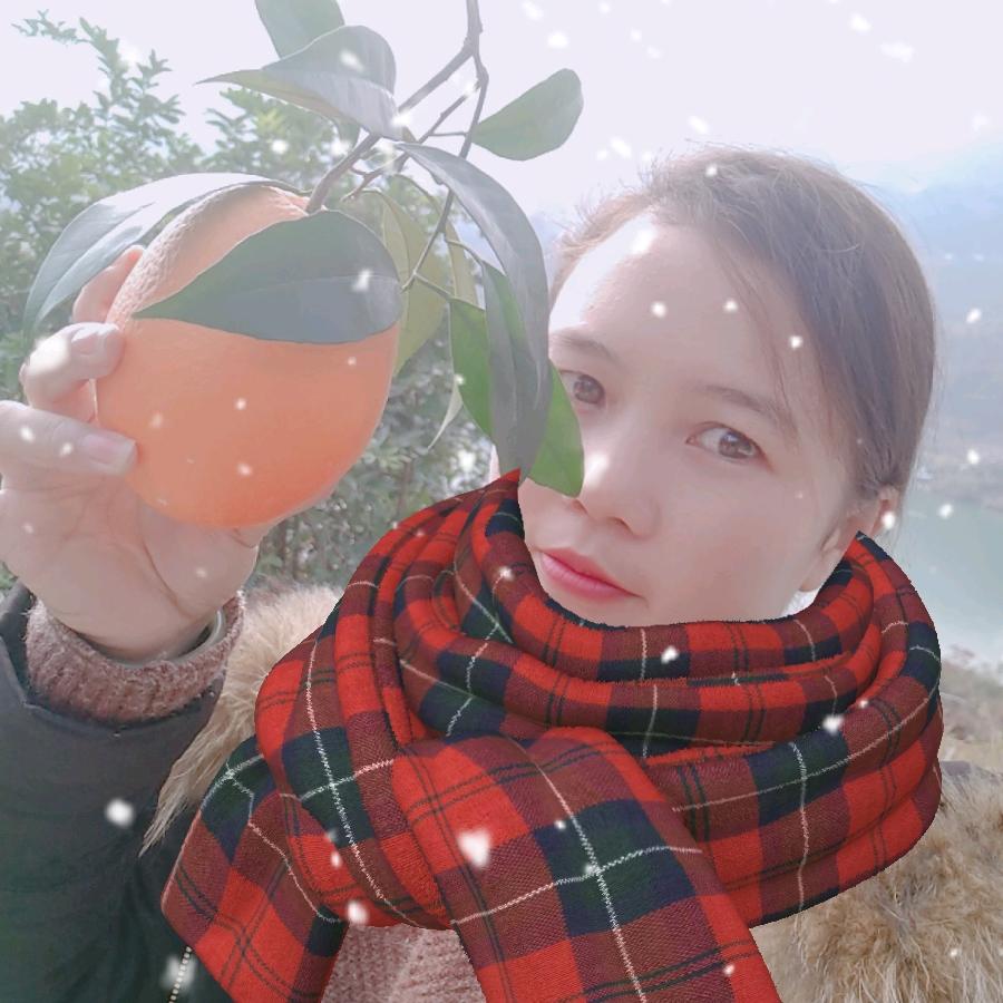 奉节脐橙姑娘    杨春