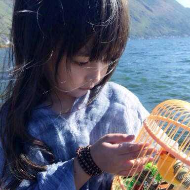 勇敢的心236223050