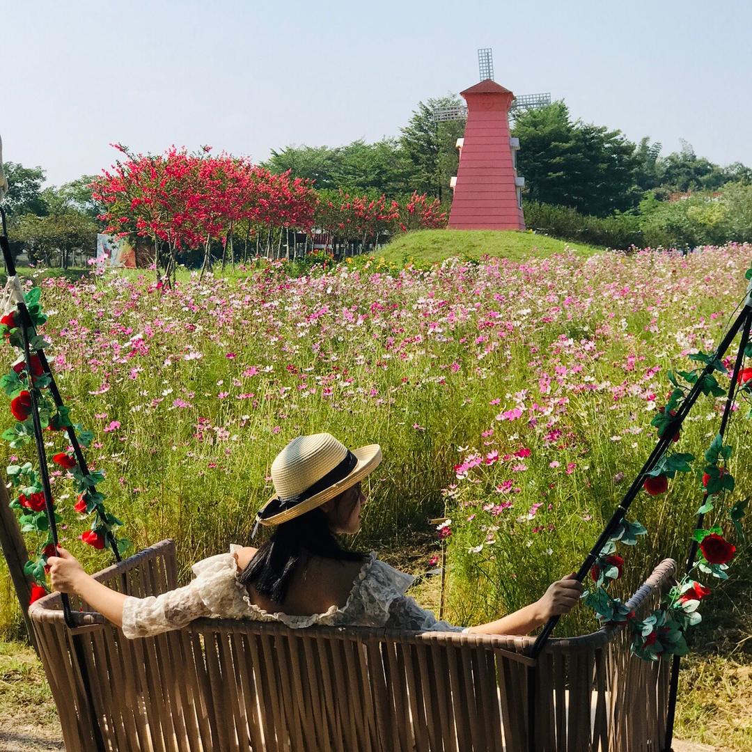 惠州紫溪半岛花海世界