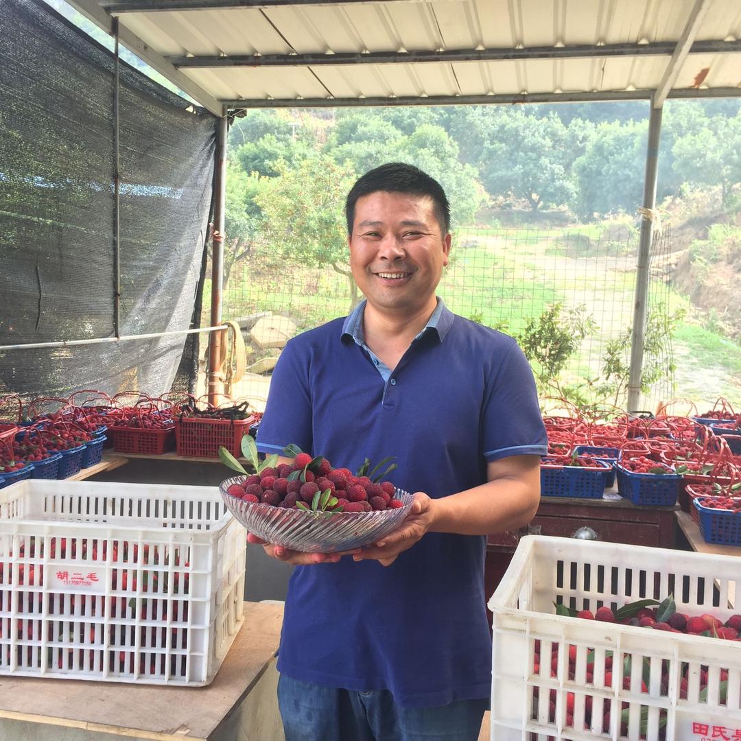 金白沙杨梅