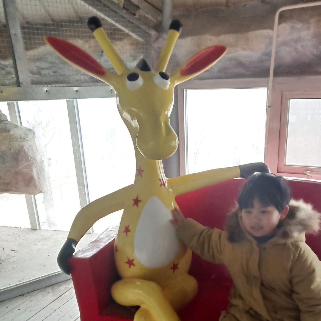 小陶姑娘