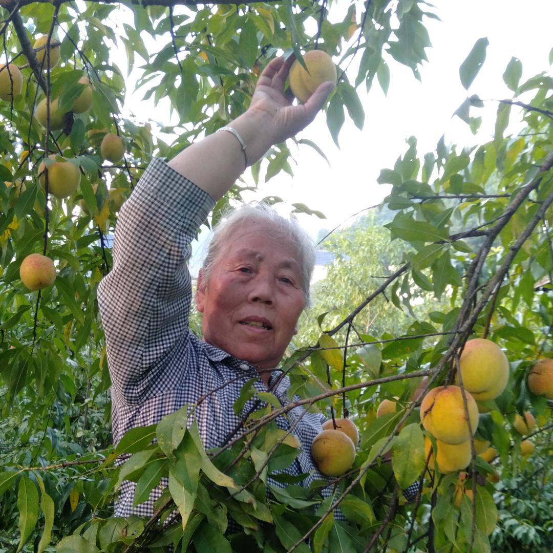 王翠花