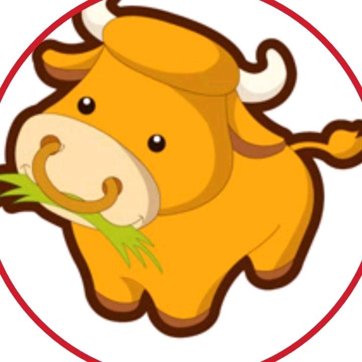 德盛园肉牛养殖场