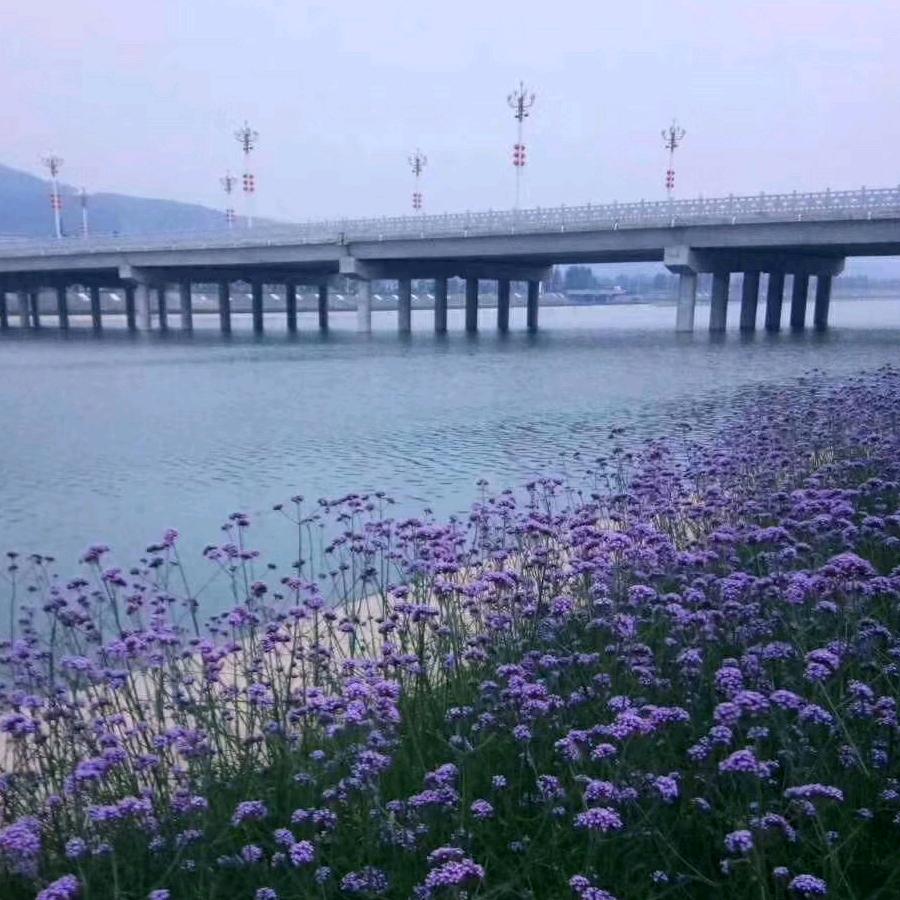 ꧁舍‖得ℒℴѵℯ¹³¹⁴꧂