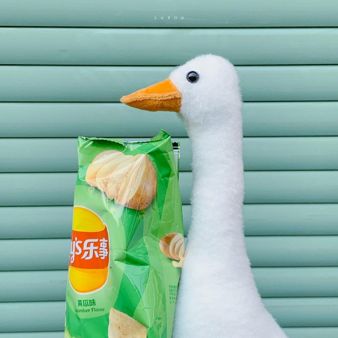 小饼干🍪