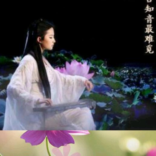 龙儿