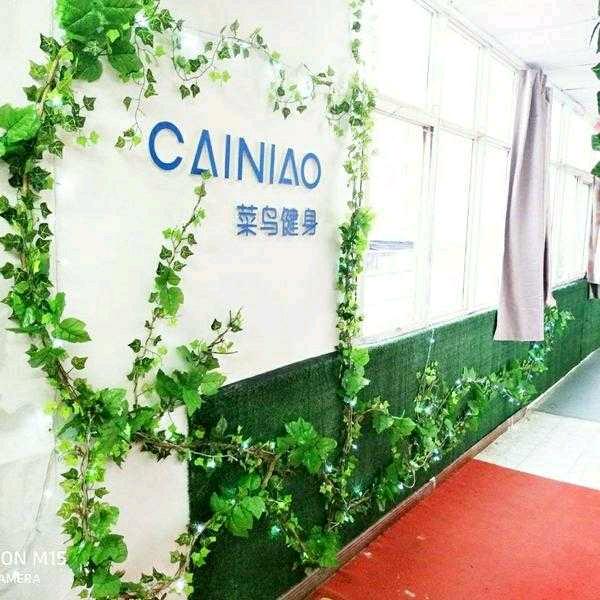 菜鸟健身